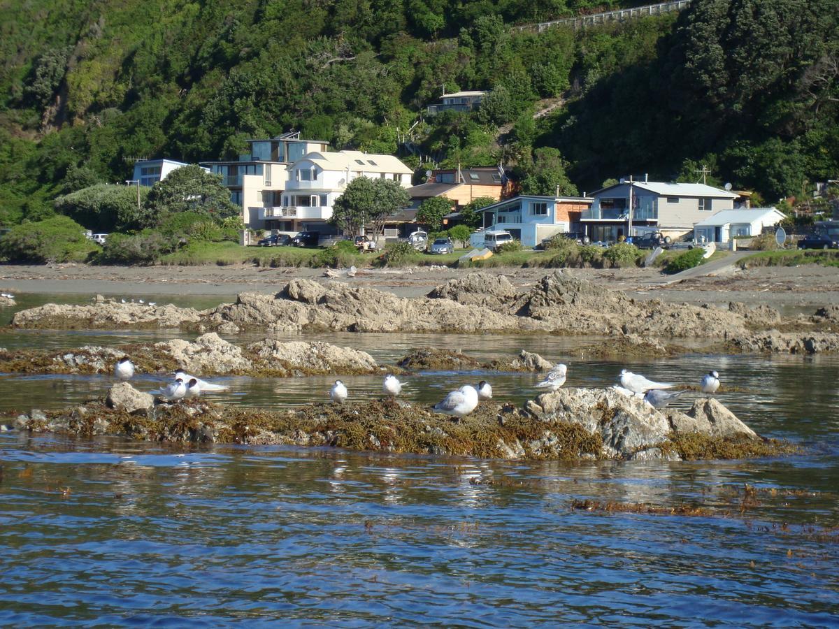Kapiti Waves Bed & Breakfast Pukerua Bay ภายนอก รูปภาพ